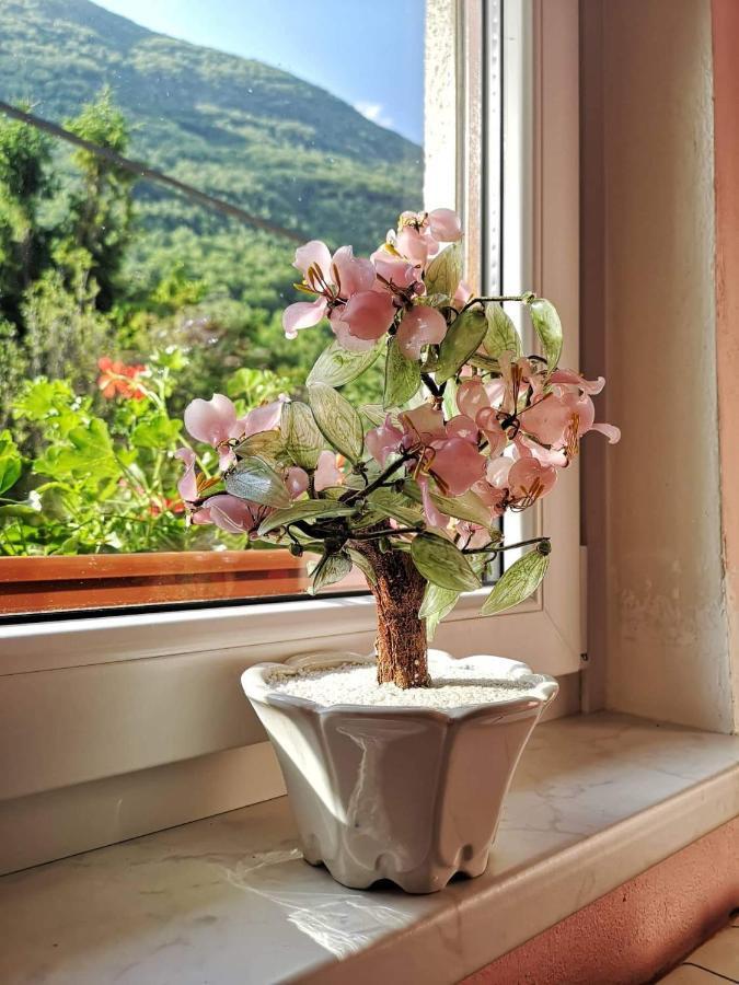 Apartma Floncna Lägenhet Bovec Exteriör bild